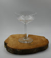 Renta Copa Champagne Saucer o Coupe (por caja)